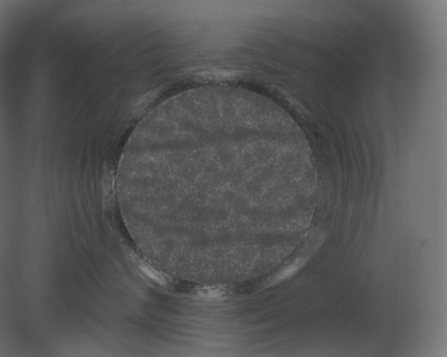 X0000080690624200701121726