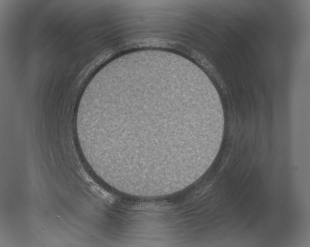 X0000080690625200701121726