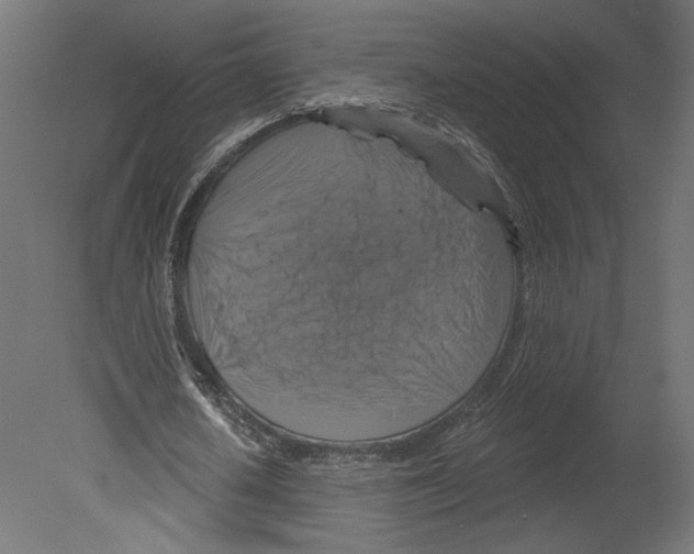 X0000080690626200701121726