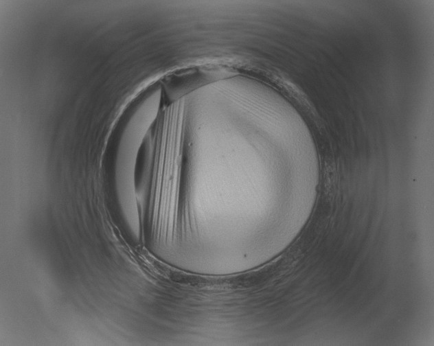 X0000080690628200701121726