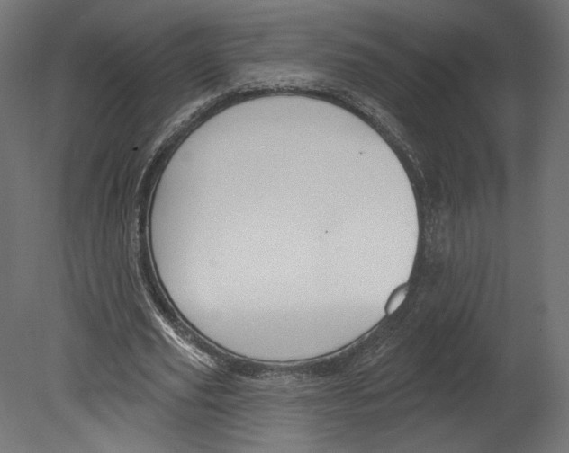 X0000080690629200701121726