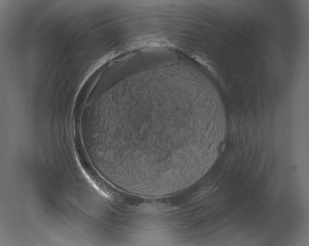 X0000080690630200701121726