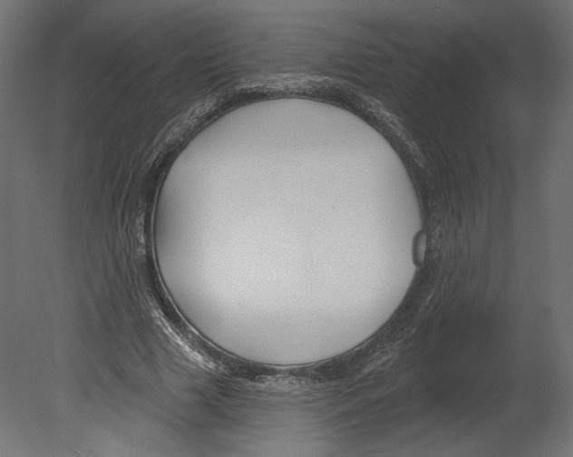 X0000080690633200701121726