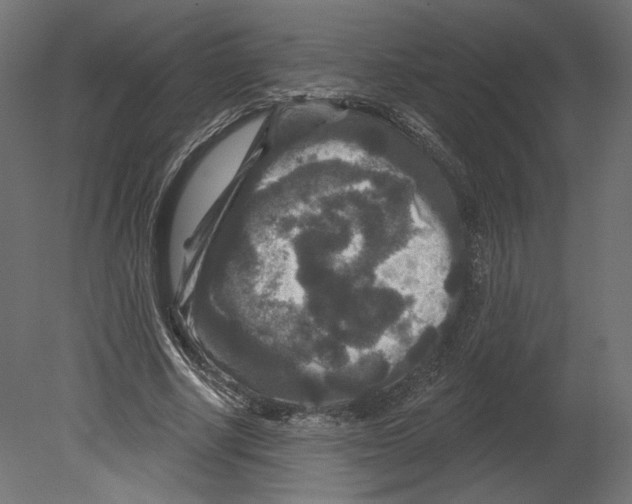 X0000080690634200701121726