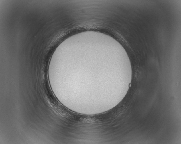 X0000080690635200701121726