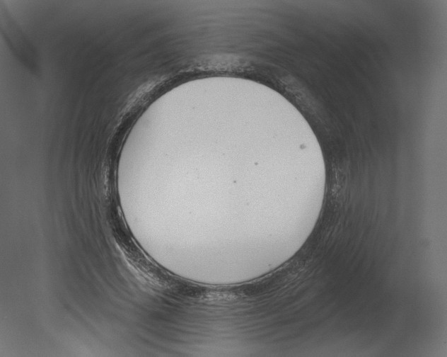 X0000080690636200701121726