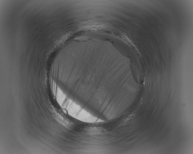 X0000080690637200701121726