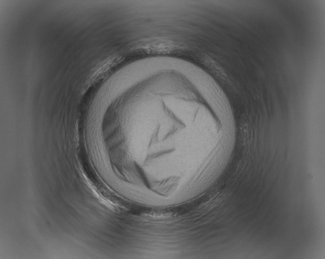 X0000080690638200701121726