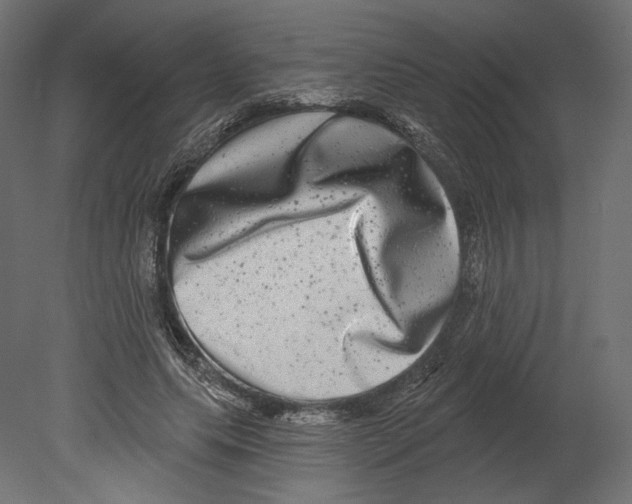 X0000080690639200701121726