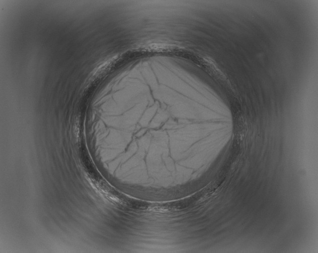 X0000080690640200701121726