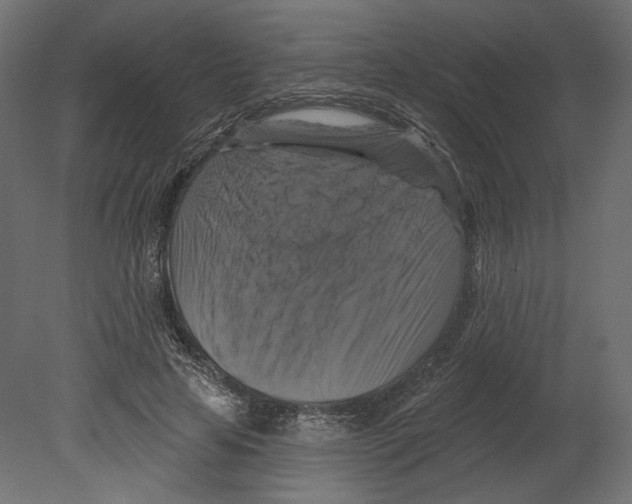 X0000080690641200701121726