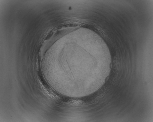 X0000080690642200701121726