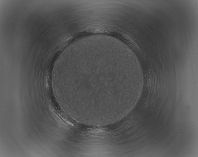 X0000080690643200701121726