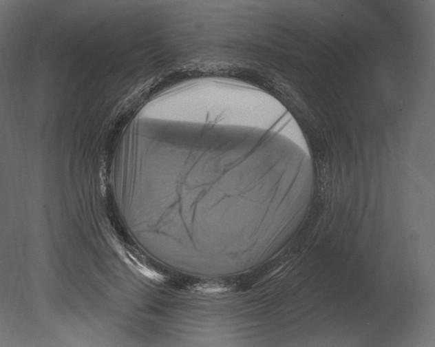 X0000080690644200701121726