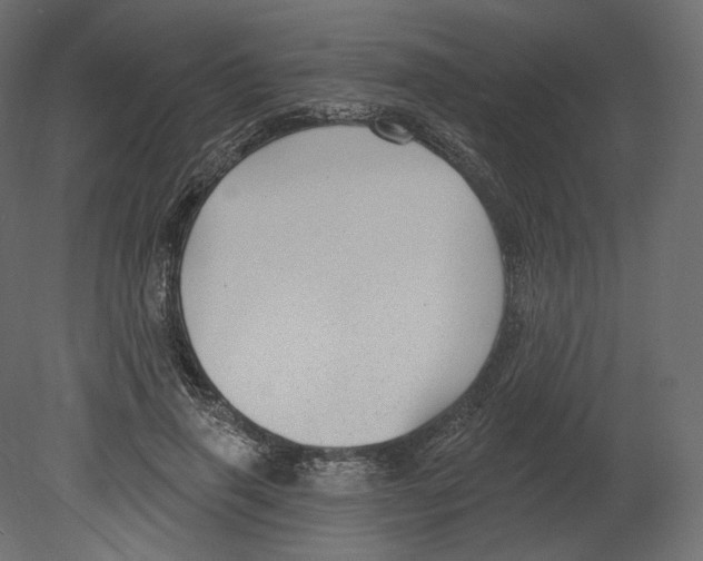 X0000080690645200701121726