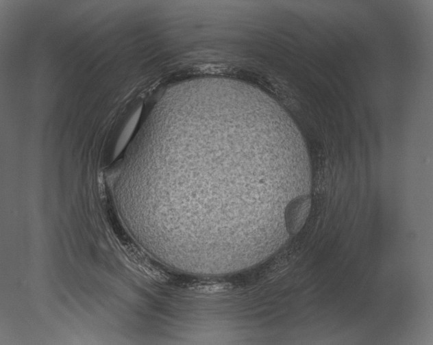 X0000080690646200701121726