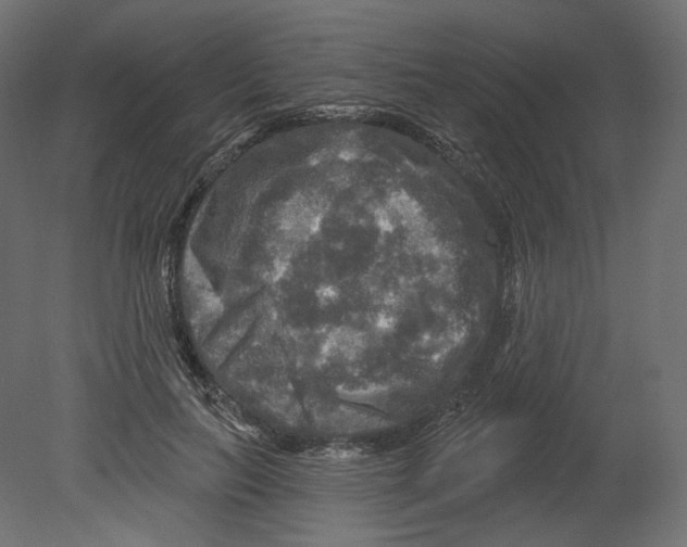 X0000080690647200701121726