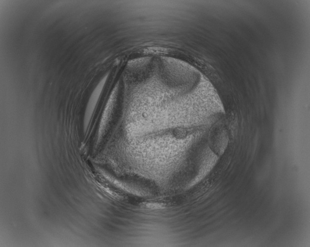 X0000080690649200701121726