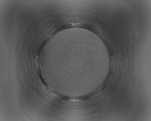 X0000080690650200701121726