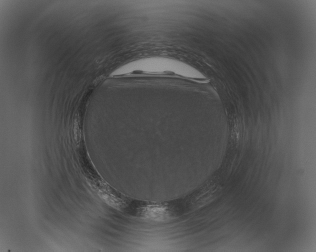 X0000080690651200701121726