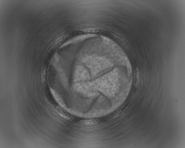 X0000080690652200701121726