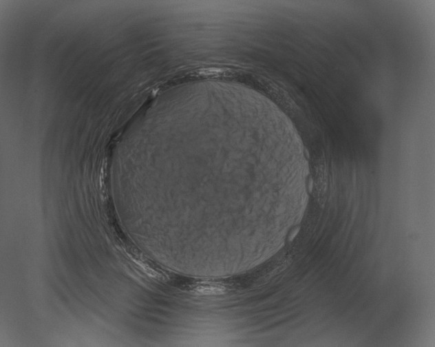 X0000080690653200701121726