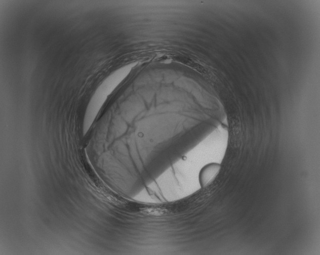 X0000080690654200701121726