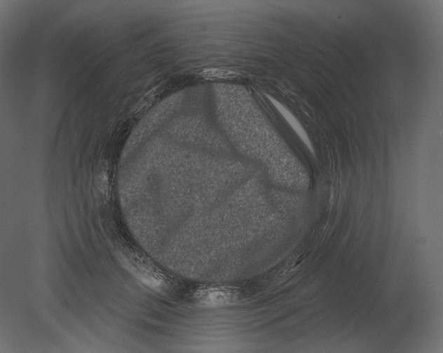 X0000080690655200701121726