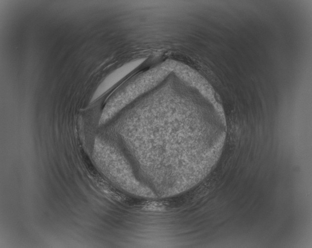 X0000080690656200701121726