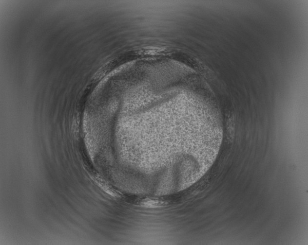 X0000080690657200701121726