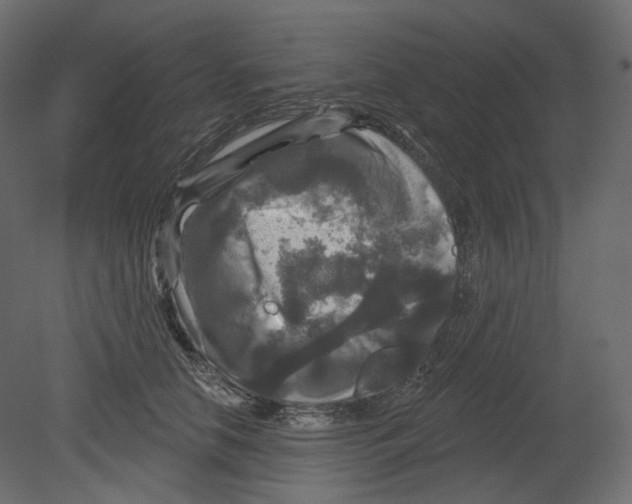 X0000080690658200701121726