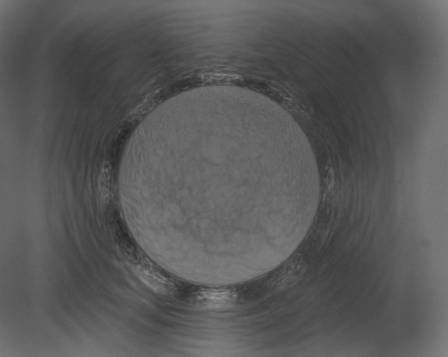 X0000080690659200701121726