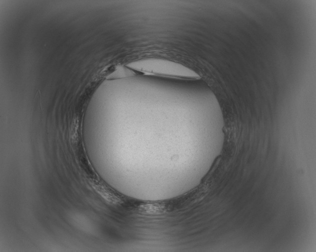 X0000080690660200701121726