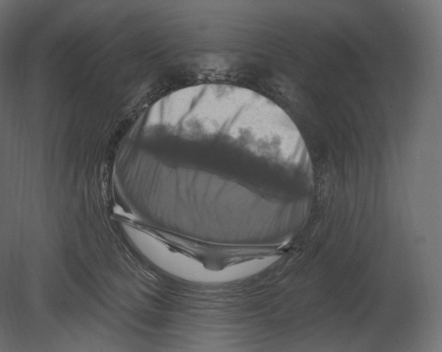 X0000080690661200701121726