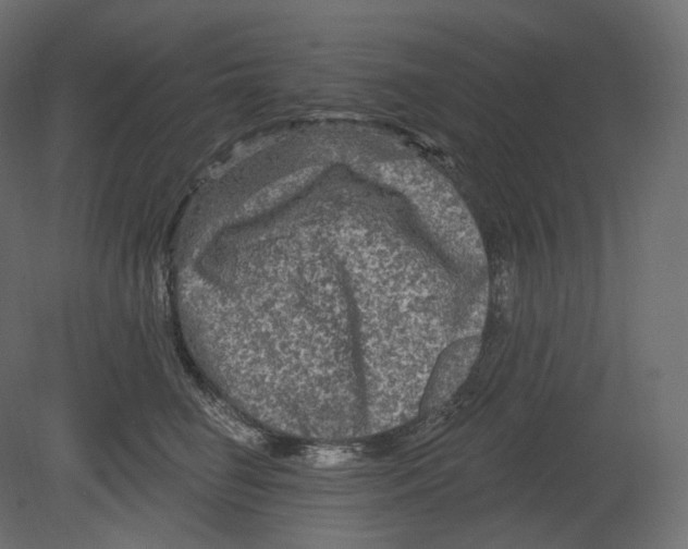 X0000080690662200701121726