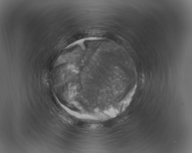 X0000080690663200701121726