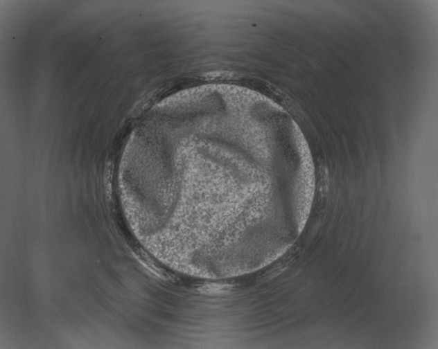 X0000080690664200701121726