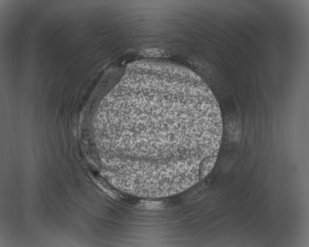 X0000080690665200701121726