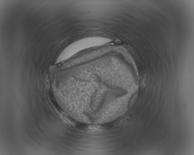 X0000080690666200701121726