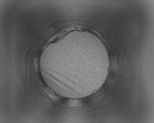 X0000080690667200701121726