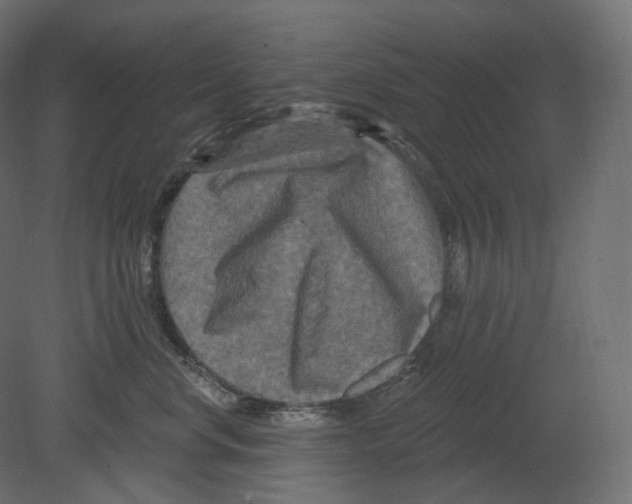 X0000080690668200701121726