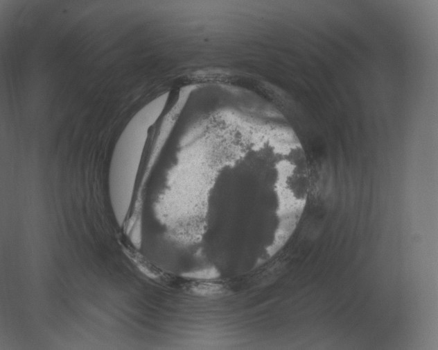 X0000080690669200701121726