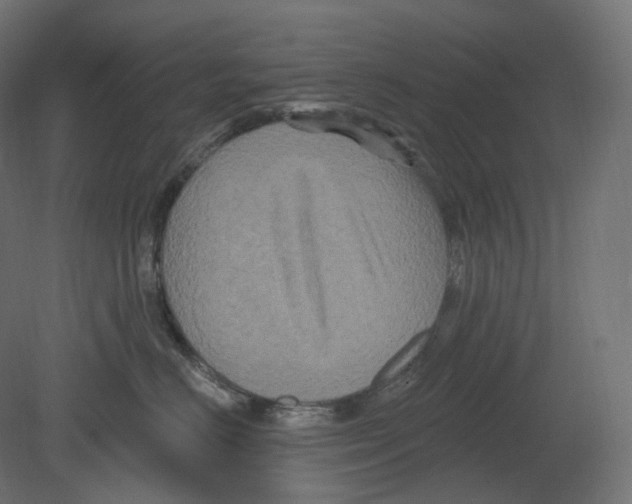 X0000080690670200701121726