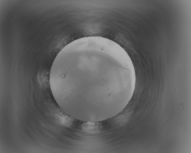 X0000080690672200701121726