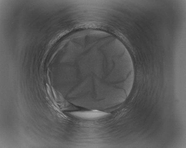 X0000080690673200701121726