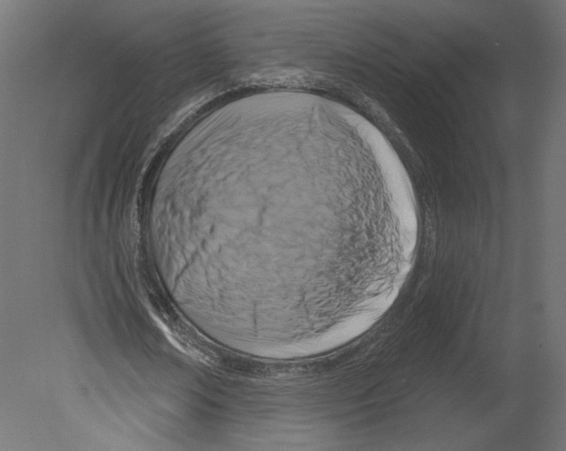 X0000080690674200701121726