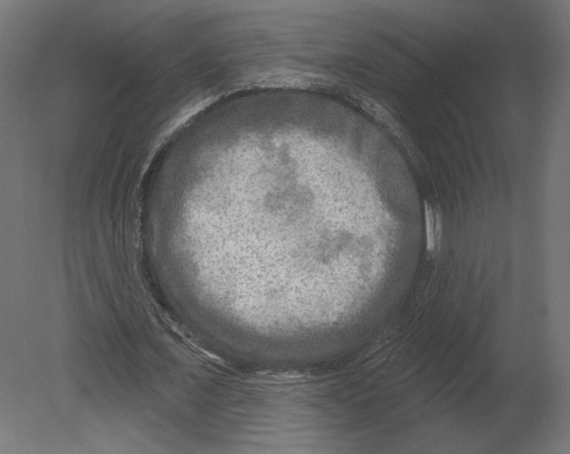 X0000080690675200701121726