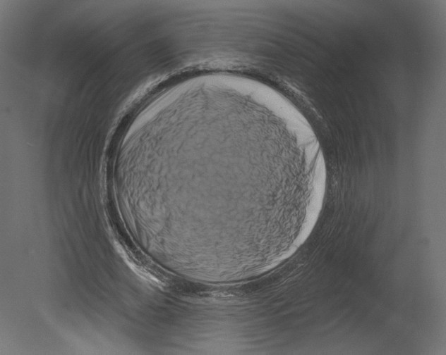 X0000080690678200701121726