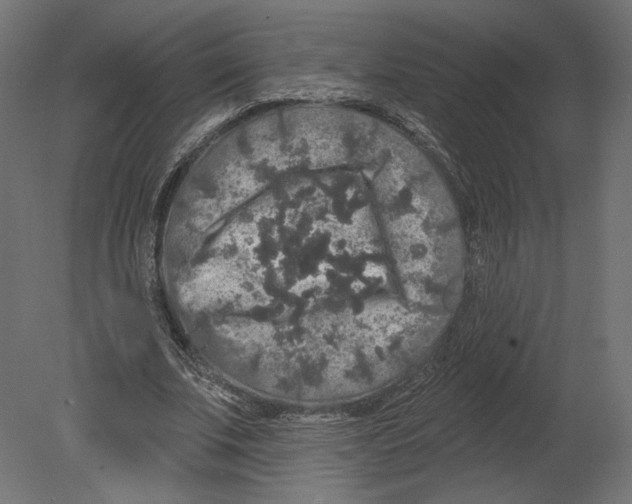 X0000080690679200701121726