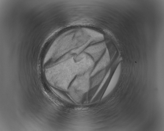 X0000080690680200701121726